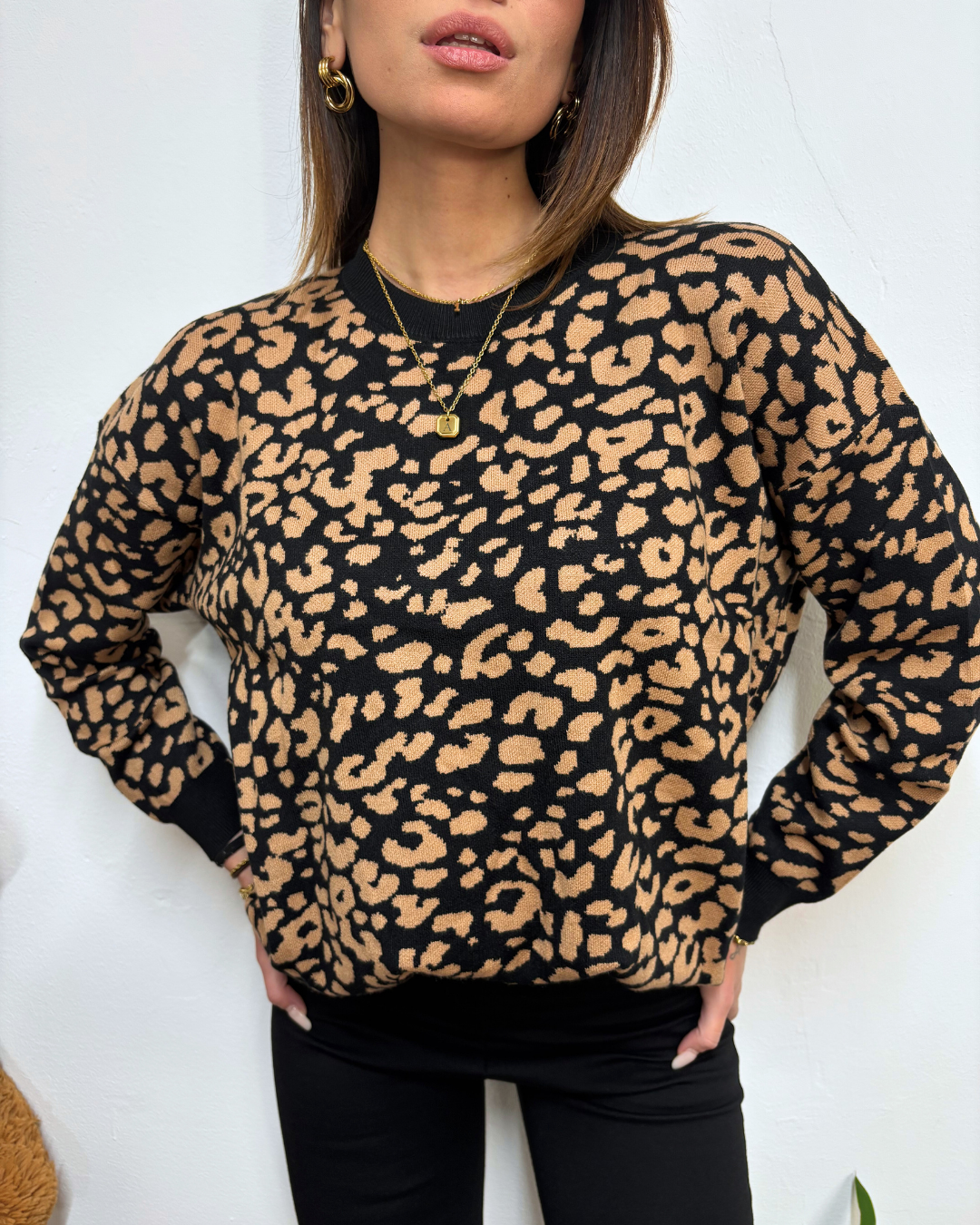 PULL ANIMALIER