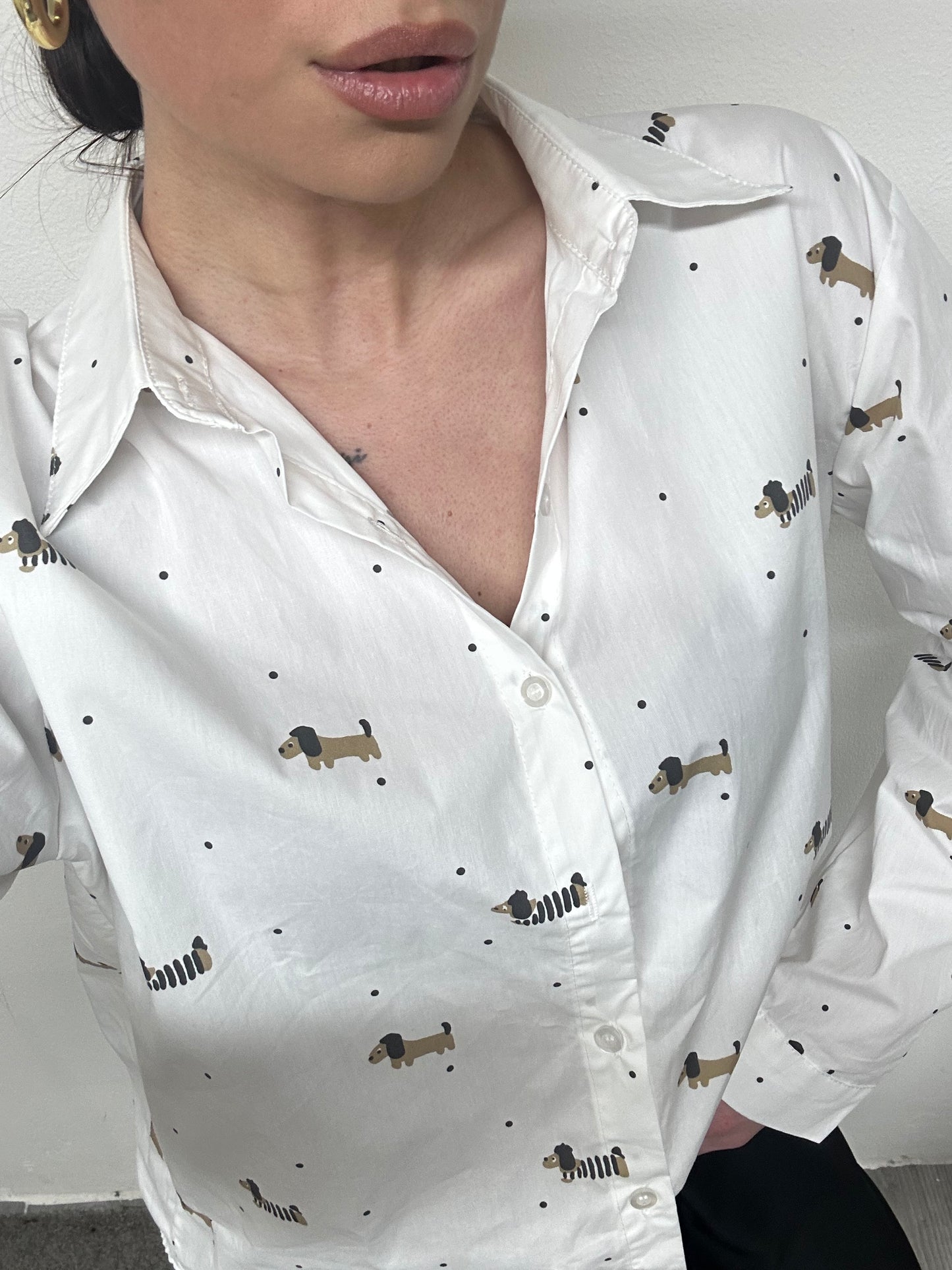CAMICIA COTONE BASSOTTO